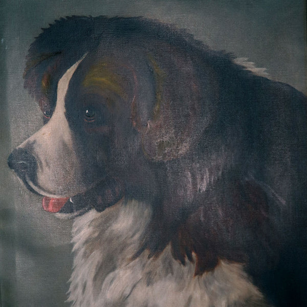 American School Oil on Canvas Painting, Portrait of a Saint Bernard Dog