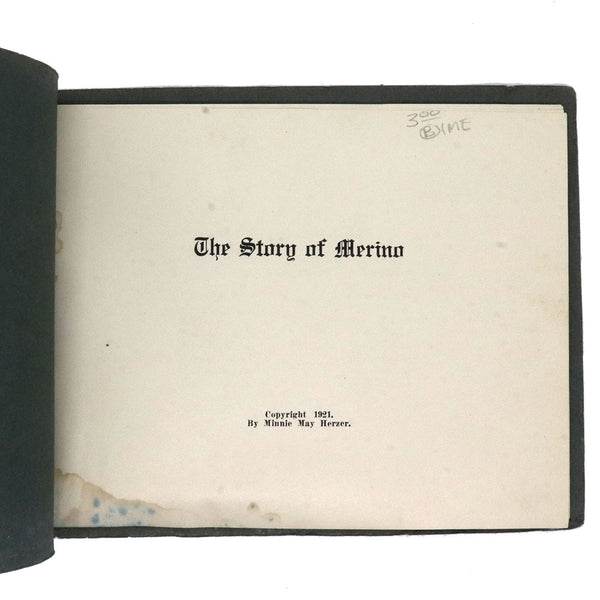 American Colorado School Book: The Story of Merino by Minnie May Herzer